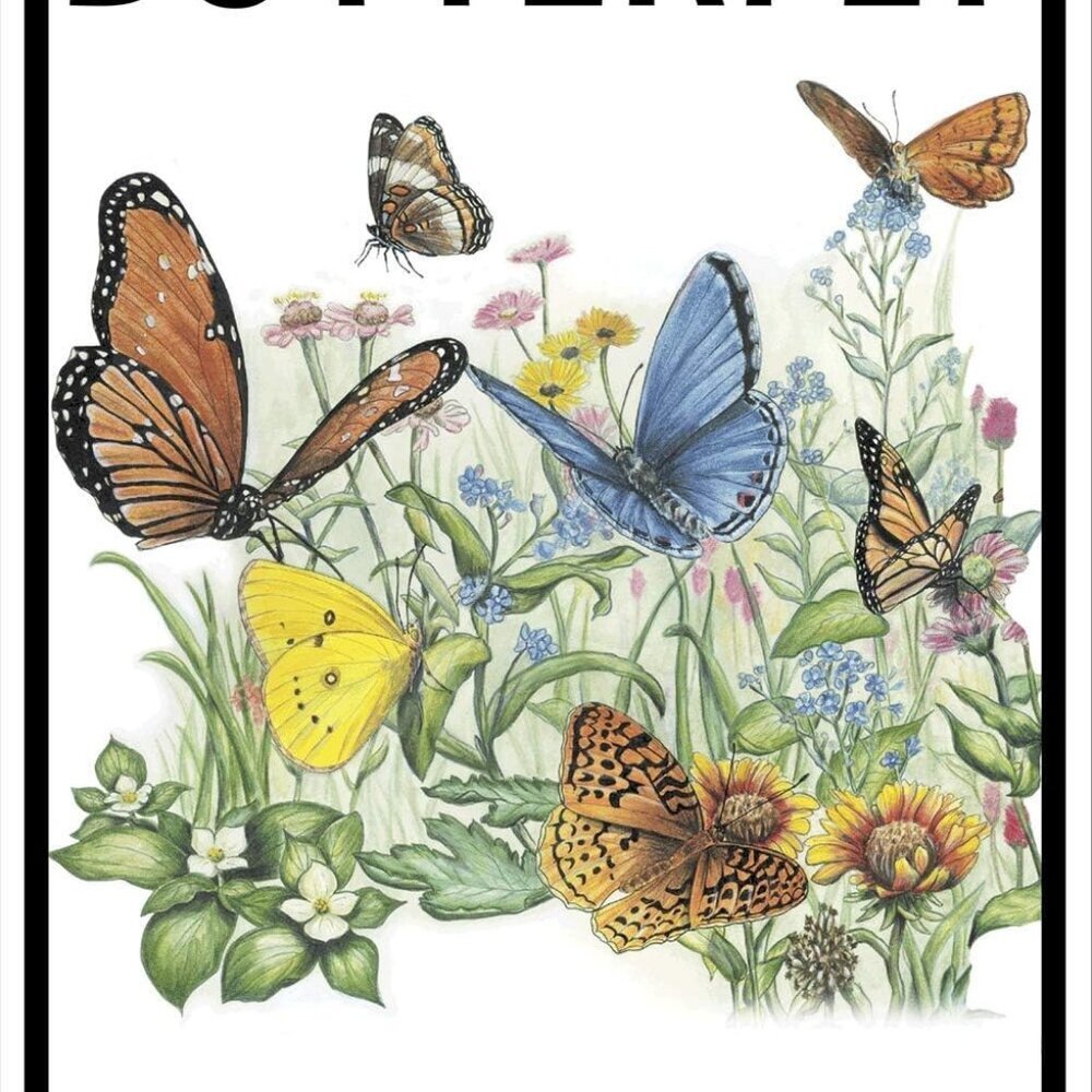 Butterfly Garden 10" X 15" Aluminum Sign WS040